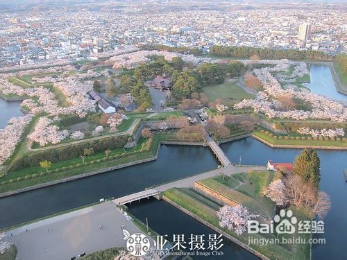 去日韩欣旅游赏樱花攻略