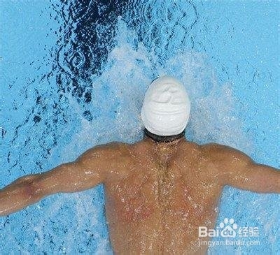 分享自己的自由泳游泳经验