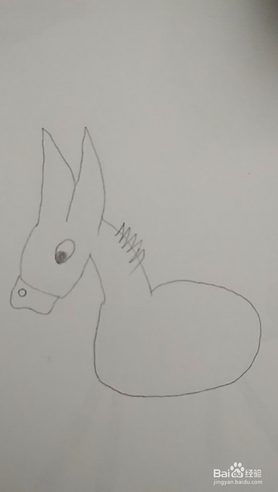 多妈简笔画动物一只小毛驴