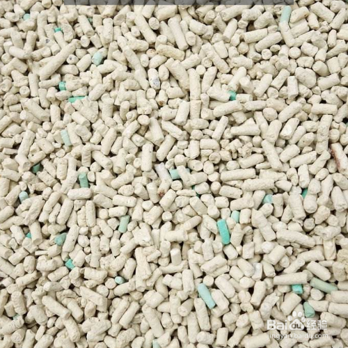 给宠物猫使用猫砂前需要做哪些准备?