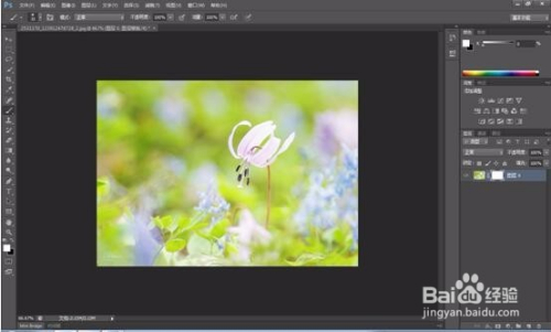 Photoshop中蒙版的使用技巧