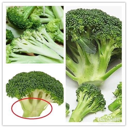 清淡不油腻——清炒西兰花