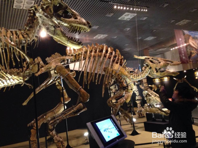 东京国立博物馆攻略