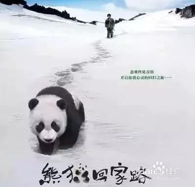 适合小学生学习的12部电影推荐