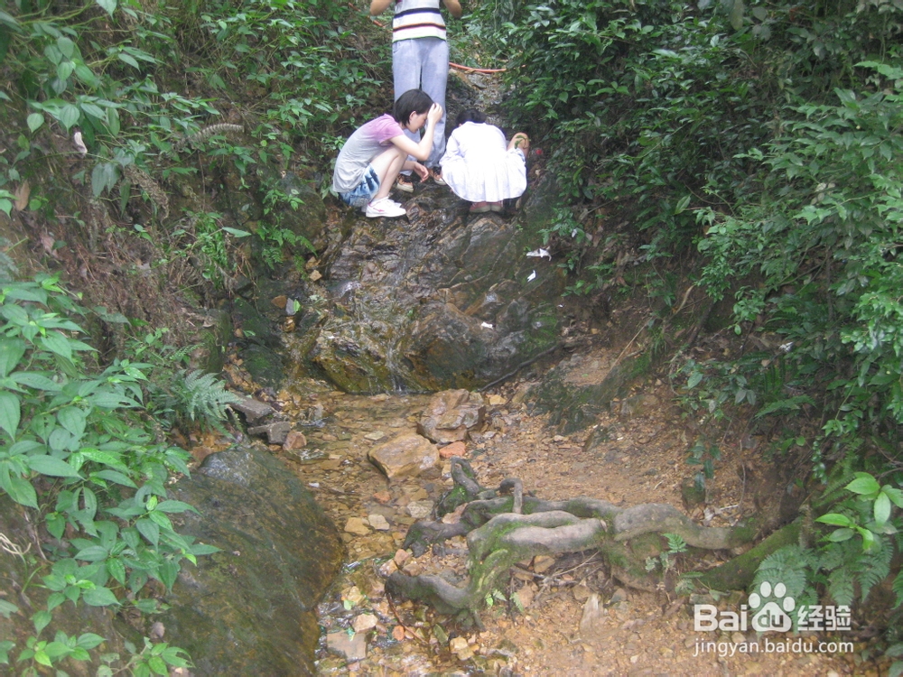 岳麓山旅游指南