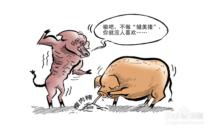 如何选健康猪肉