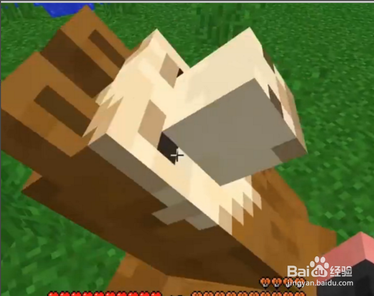 我的世界羊驼怎么骑?