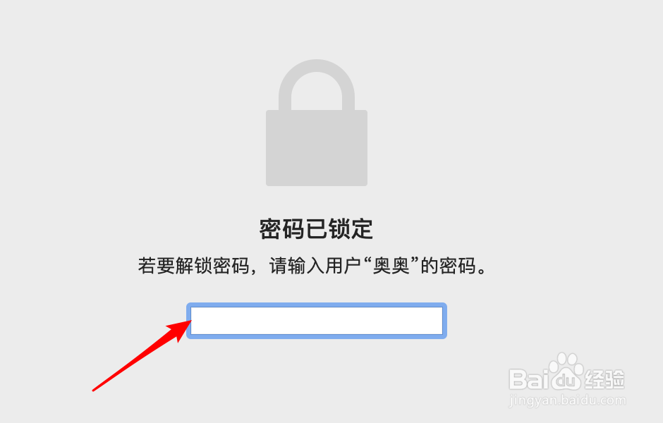 Mac电脑如何查看safari浏览器登录用户密码？