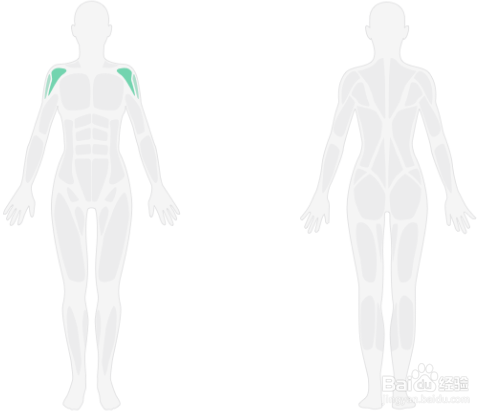 3D肩部轰炸训练