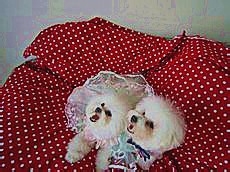 武魂宝石游戏攻略