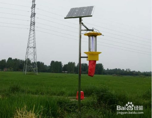 如何科学合理的使用农田杀虫灯