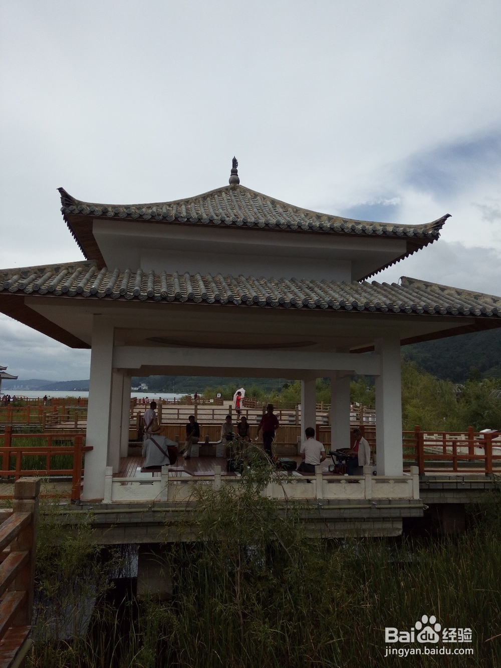 云南最美玉溪抚仙湖之樱花谷湿地公园情侣约会旅