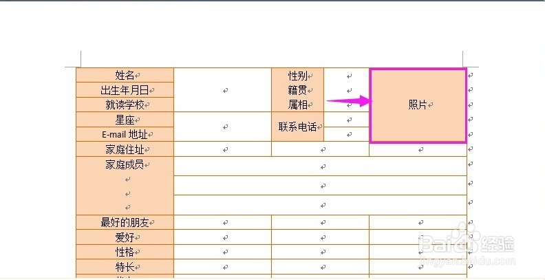 怎样在表格里插入图片