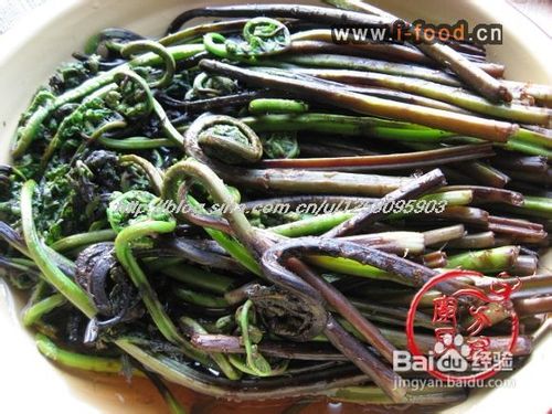 点啥有啥-----水蕨菜炒肉丝