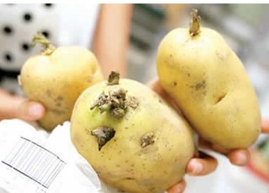 千万不能忽视这些食物的毒性