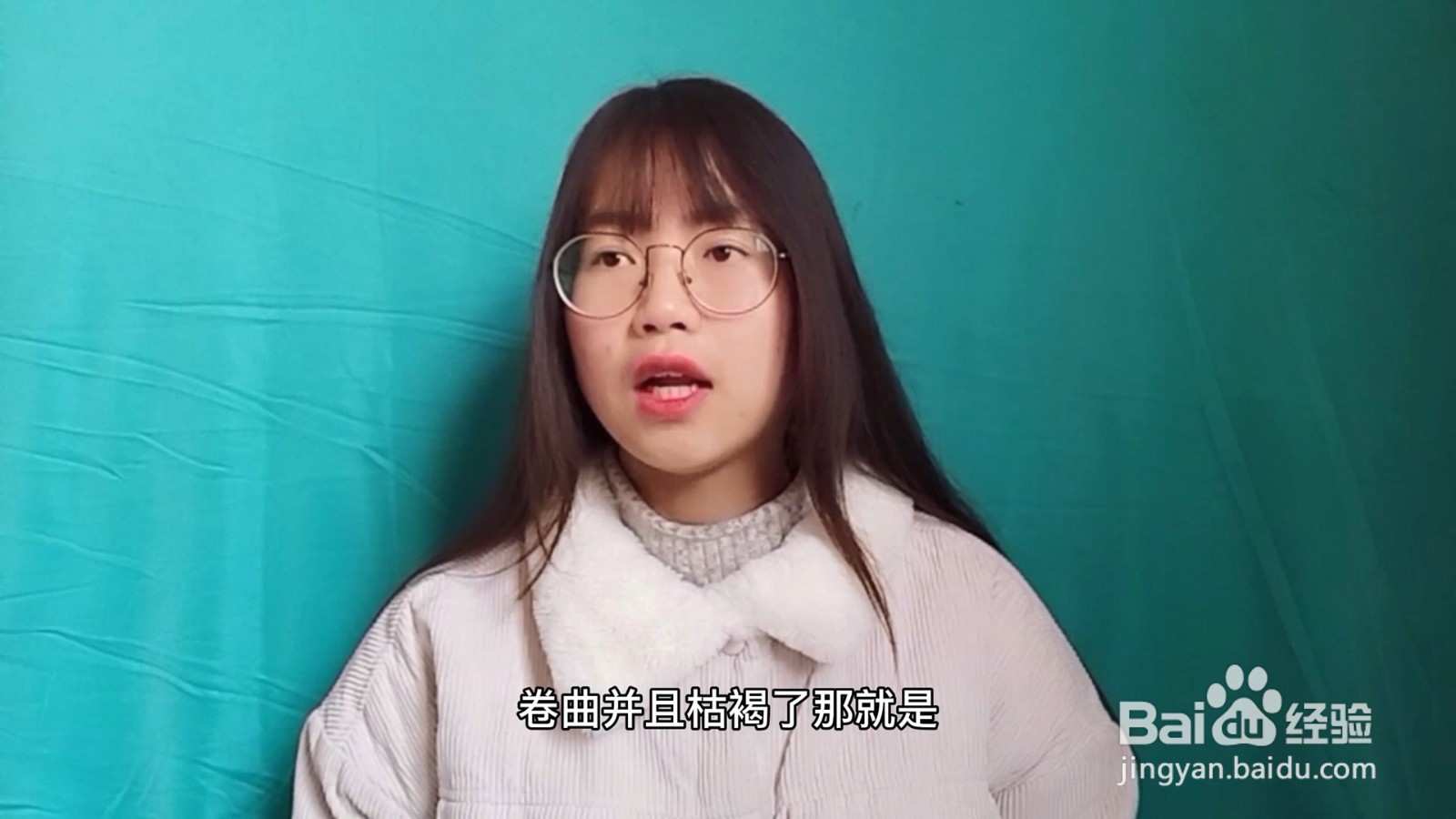 绿萝的养殖方法和注意事项