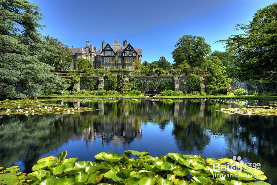 发现地球独特美镜头下的神奇大千