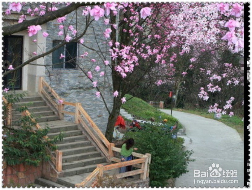 怎样“春捂”更健康？