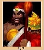 龙将那些被忽略的武将