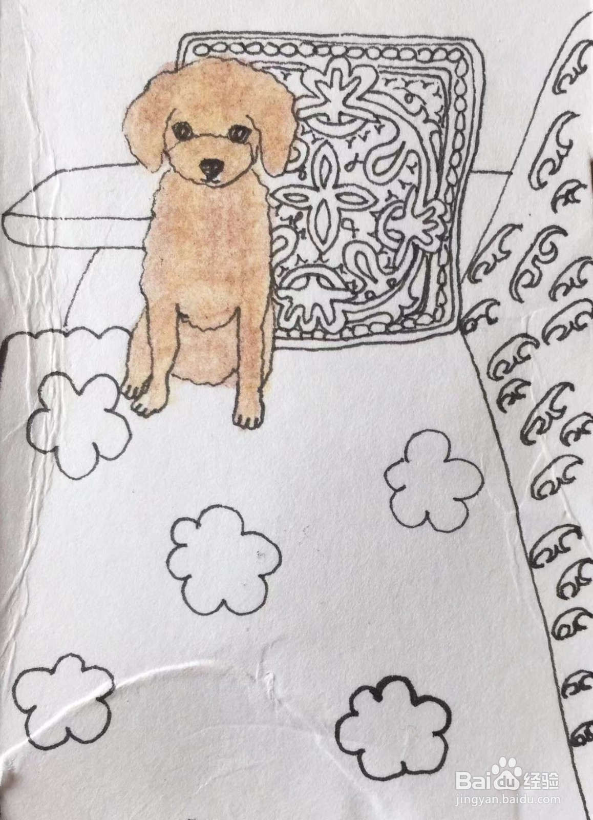 彩铅画教程之沙发上的泰迪犬