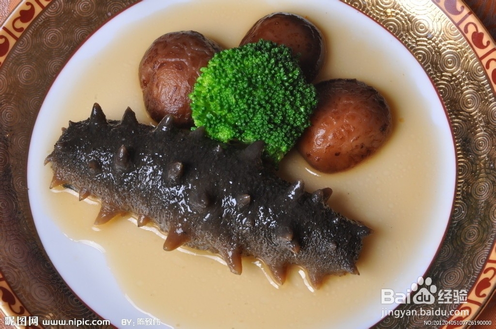 海参如何完美的泡发出来