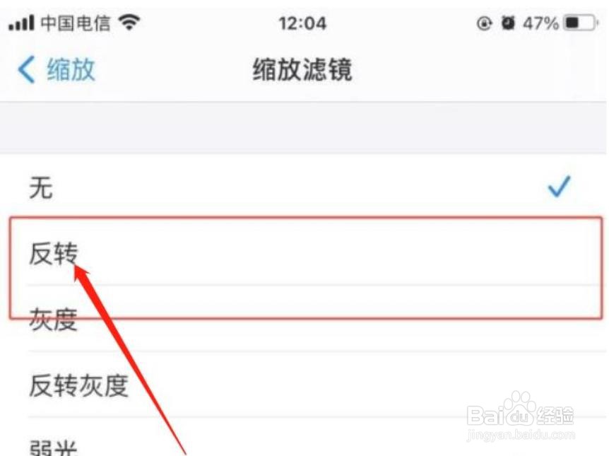 苹果手机怎么设置缩放滤镜反转功能