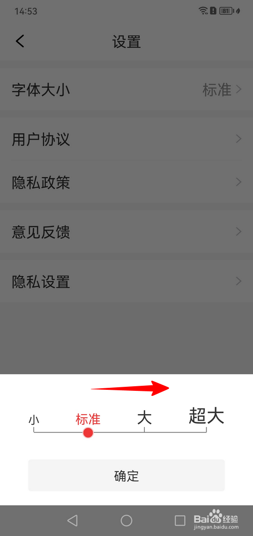 大字看APP怎样调整字体大小