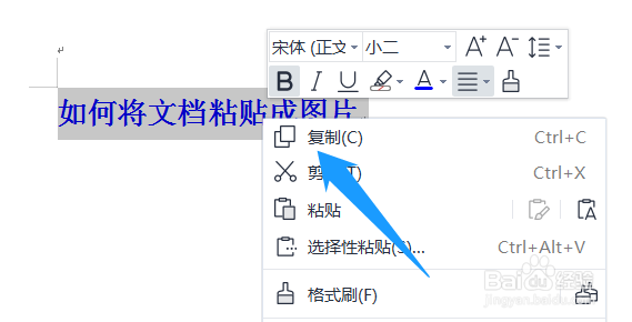 如何将文档粘贴成图片