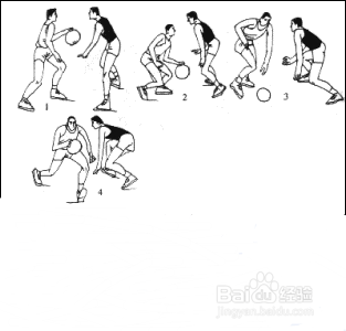 怎样学习打篮球?