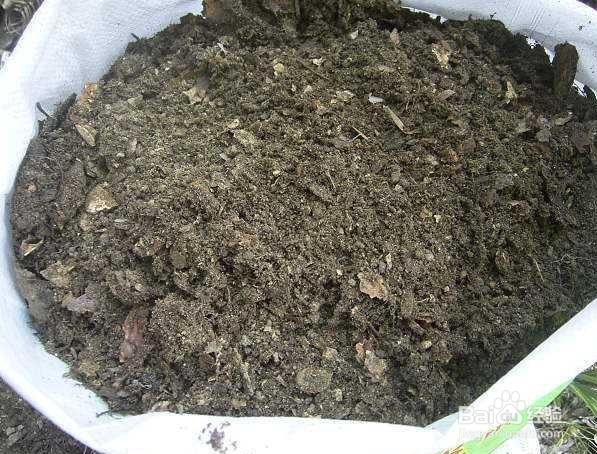 淤泥做花肥如何用