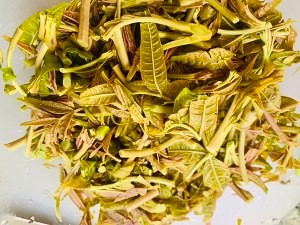 香椿煎鸡蛋的做法