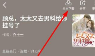 星空免费小说怎么缓存小说