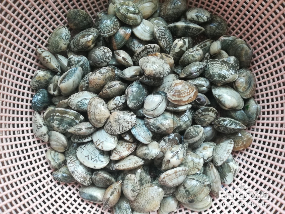 如何做出最鲜嫩的花蛤