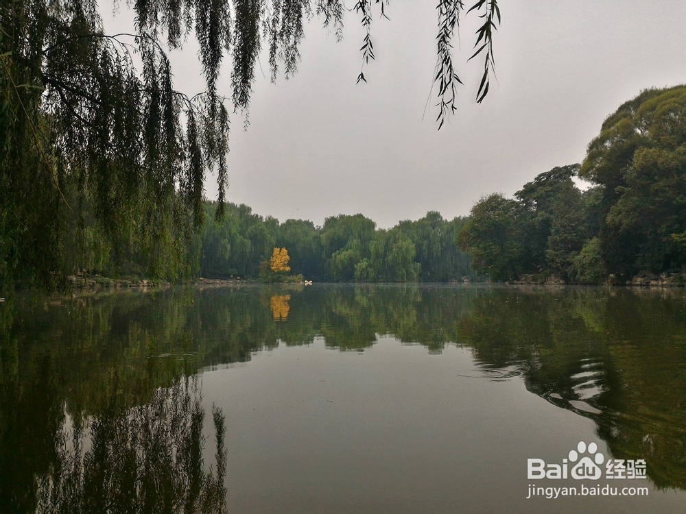 日积月累,分类积累韵律ou的歌词,一起学写诗
