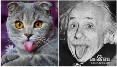 如何识别身体语言之二：舌头