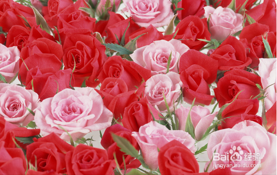 七夕情人节：如何给异地恋加点料