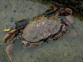 怀孕期间的那些事