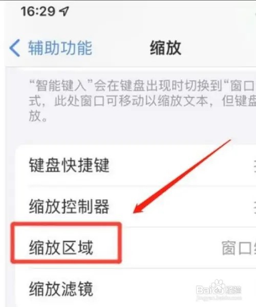 苹果手机的全屏幕缩放功能如何设置