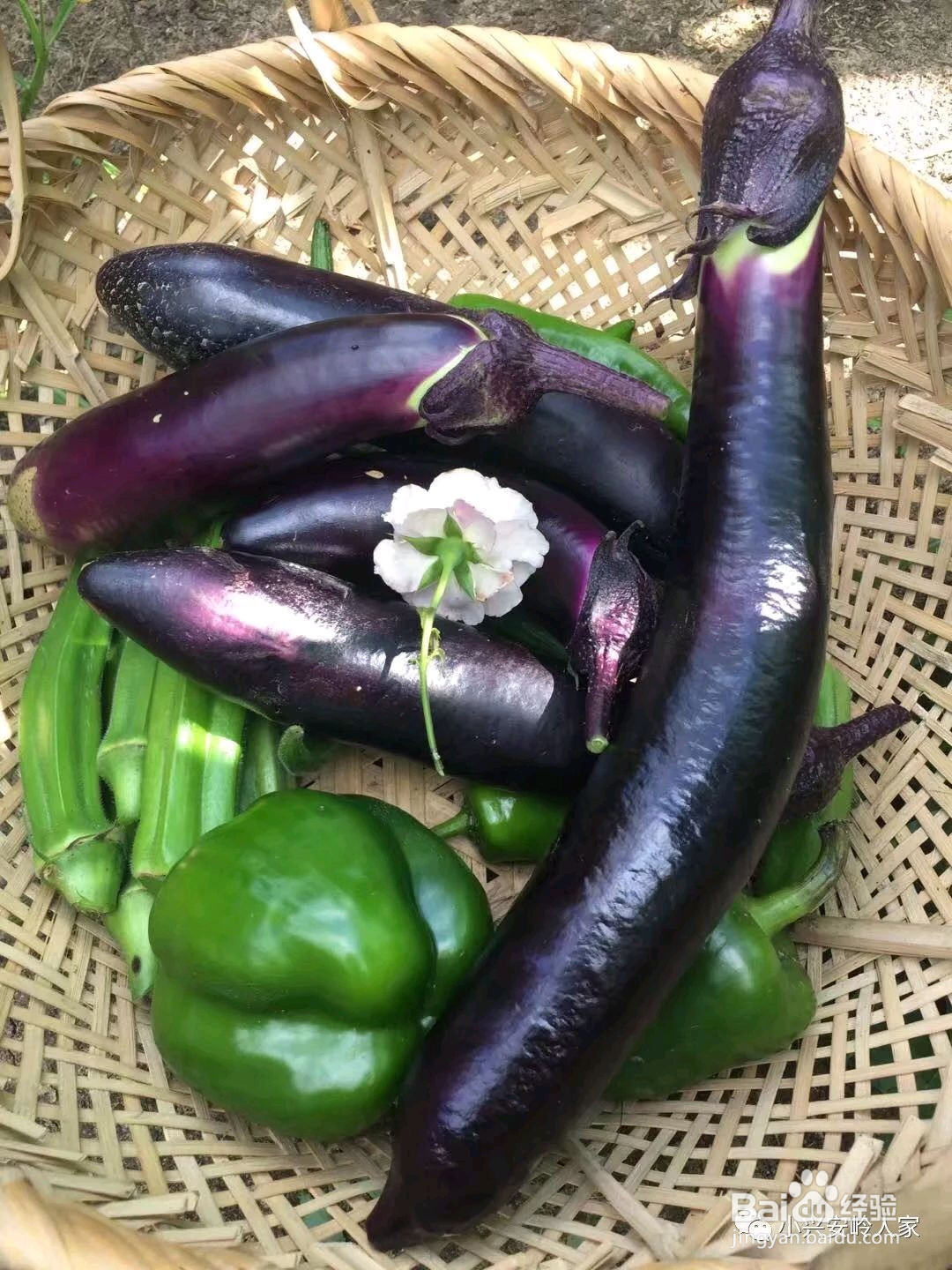 香酥软嫩•炸茄盒的做法