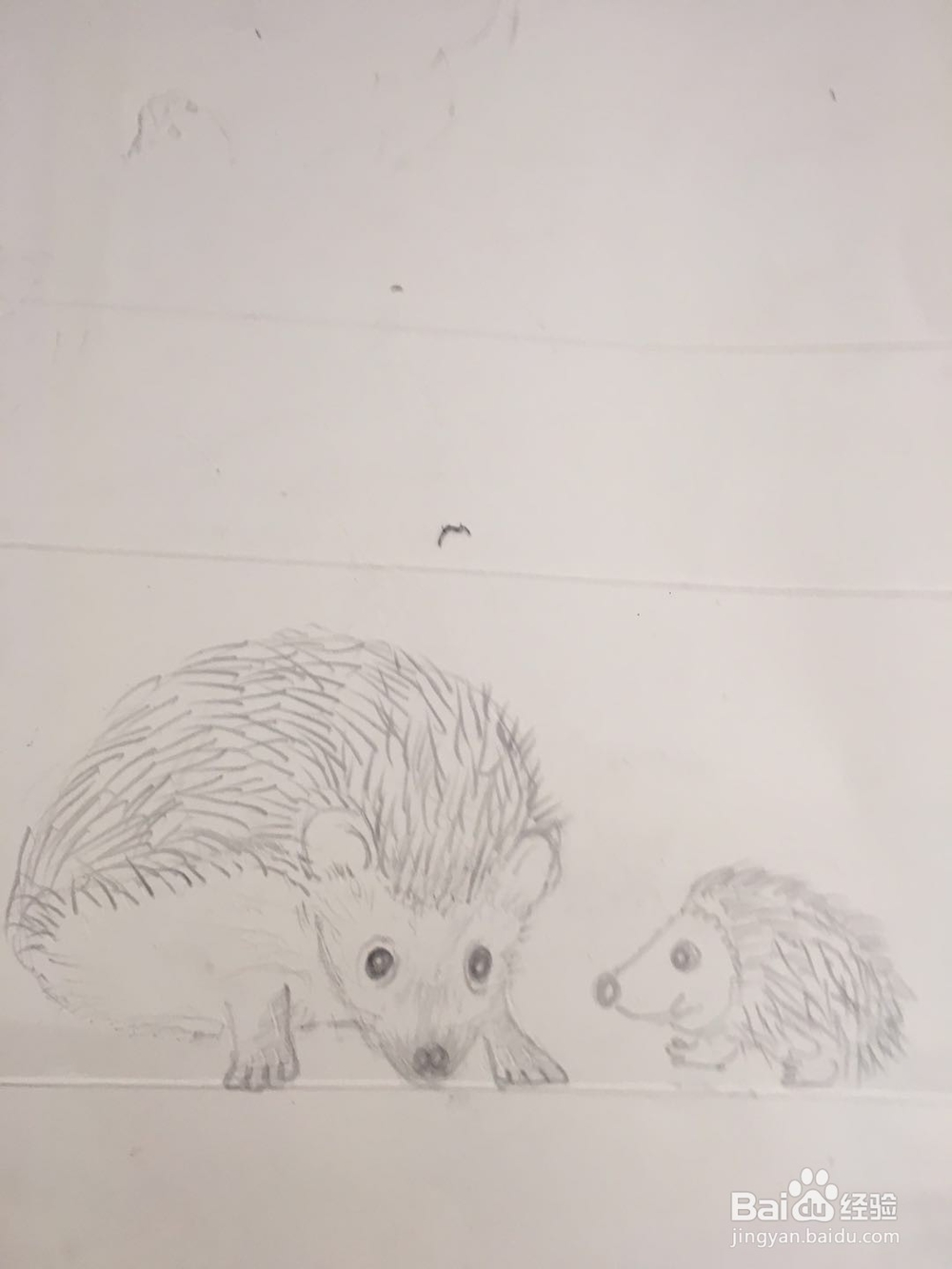 怎样画刺猬的简笔画