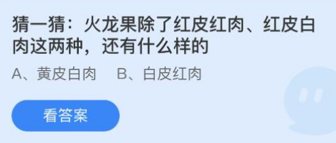 火龙果除了红皮红肉红皮白肉这两种还有什么样的