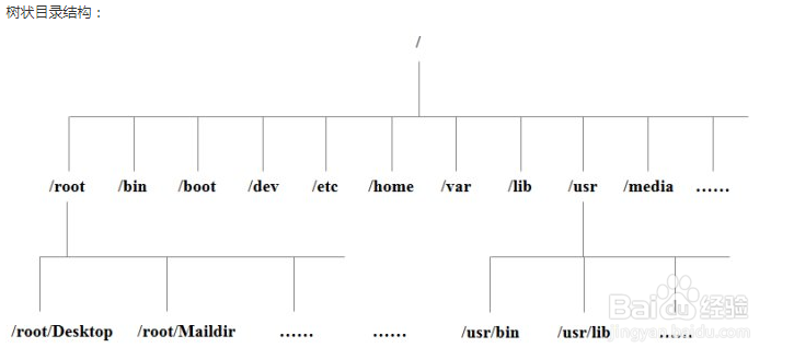 linux各目录的作用