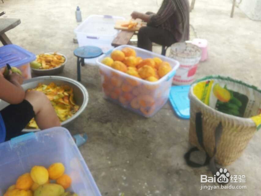 芒果烘干机芒果片烘干机使用技巧