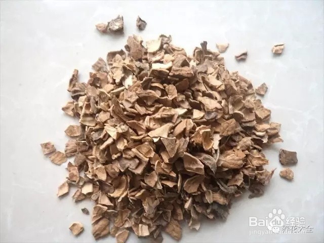 绿萝换盆的步骤