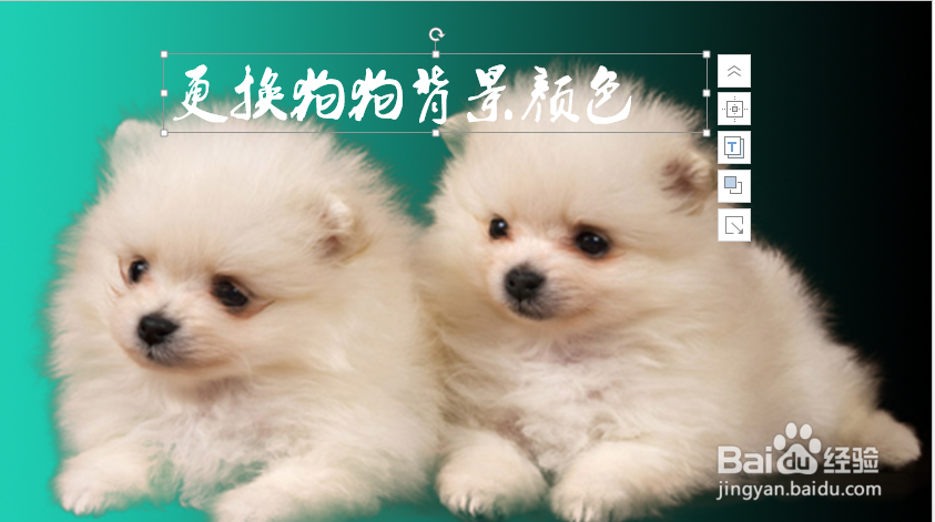 给图片添加文字的几种常用方法与技巧