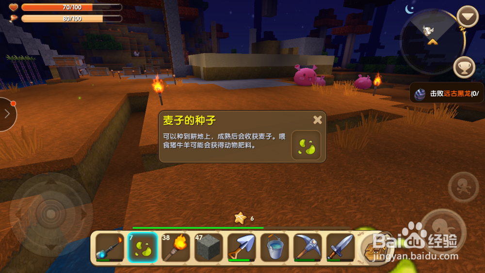 迷你世界怎么获得和种植小麦