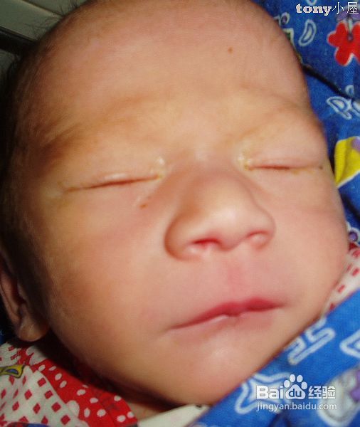 六一给孩子的礼物--营养丰富的坚果面包