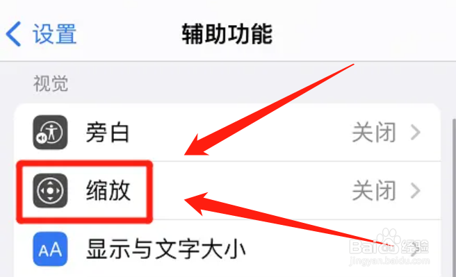 如何开启iPhone切换缩放方式功能