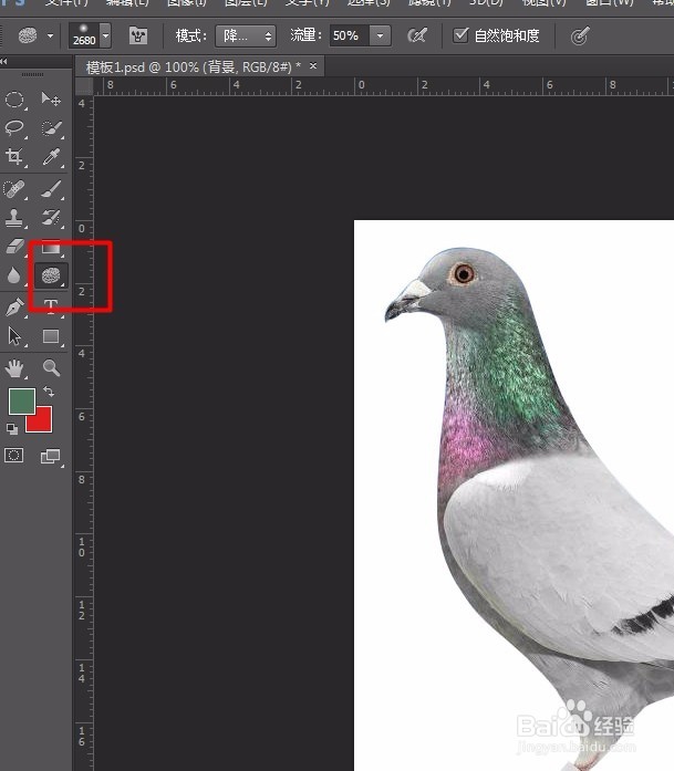 ps新手教学 必学7