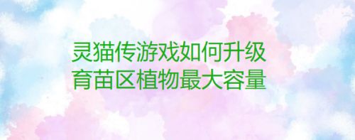 灵猫传游戏如何升级育苗区植物最大容量